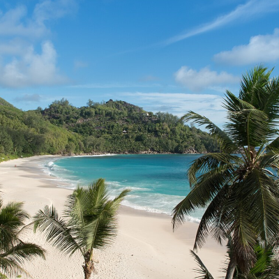 Stacy Mo Mortgage Specialist